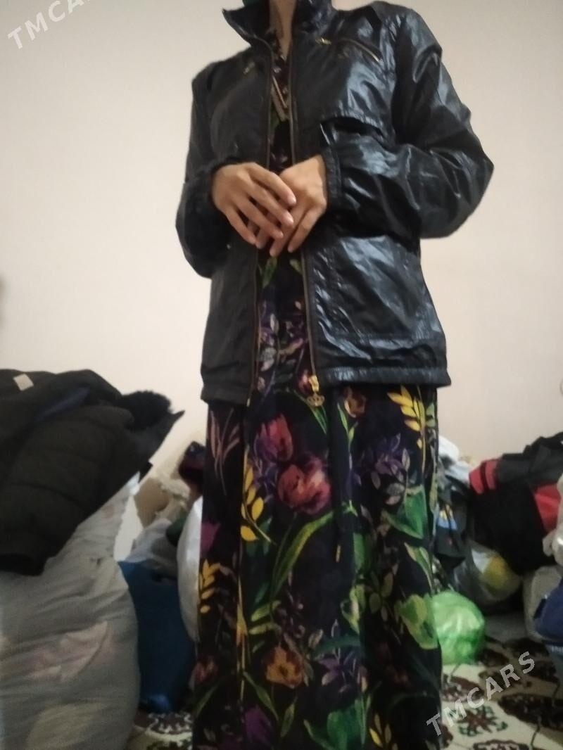 kurtga - Garabekewül - img 8