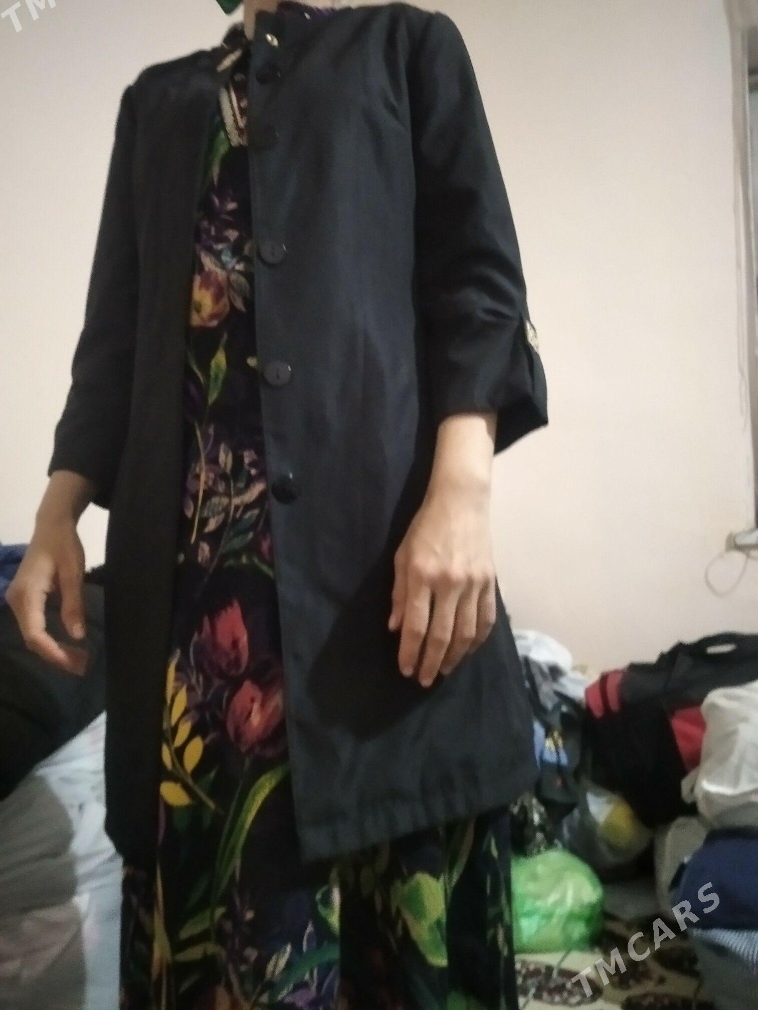 kurtga - Garabekewül - img 6