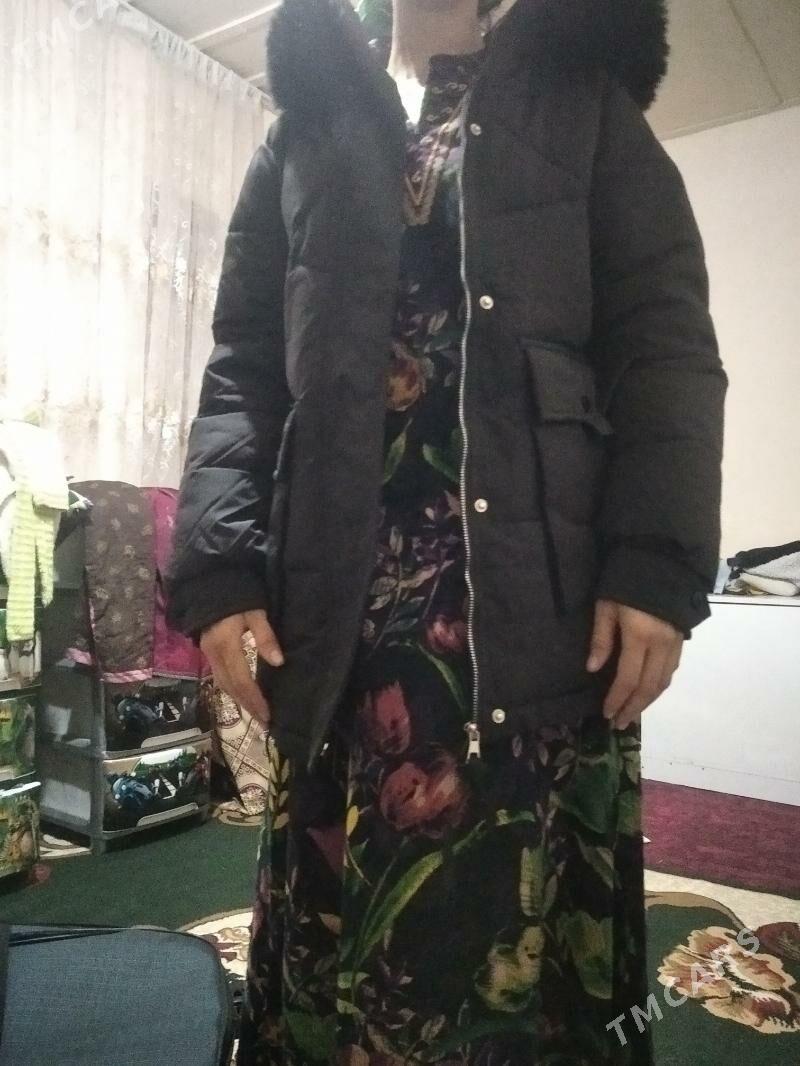 kurtga - Garabekewül - img 2