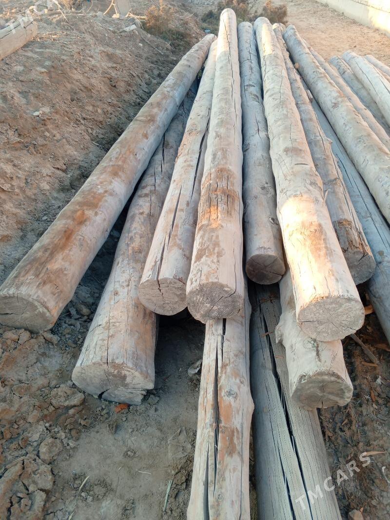 Agaç - Görogly (Tagta) - img 3