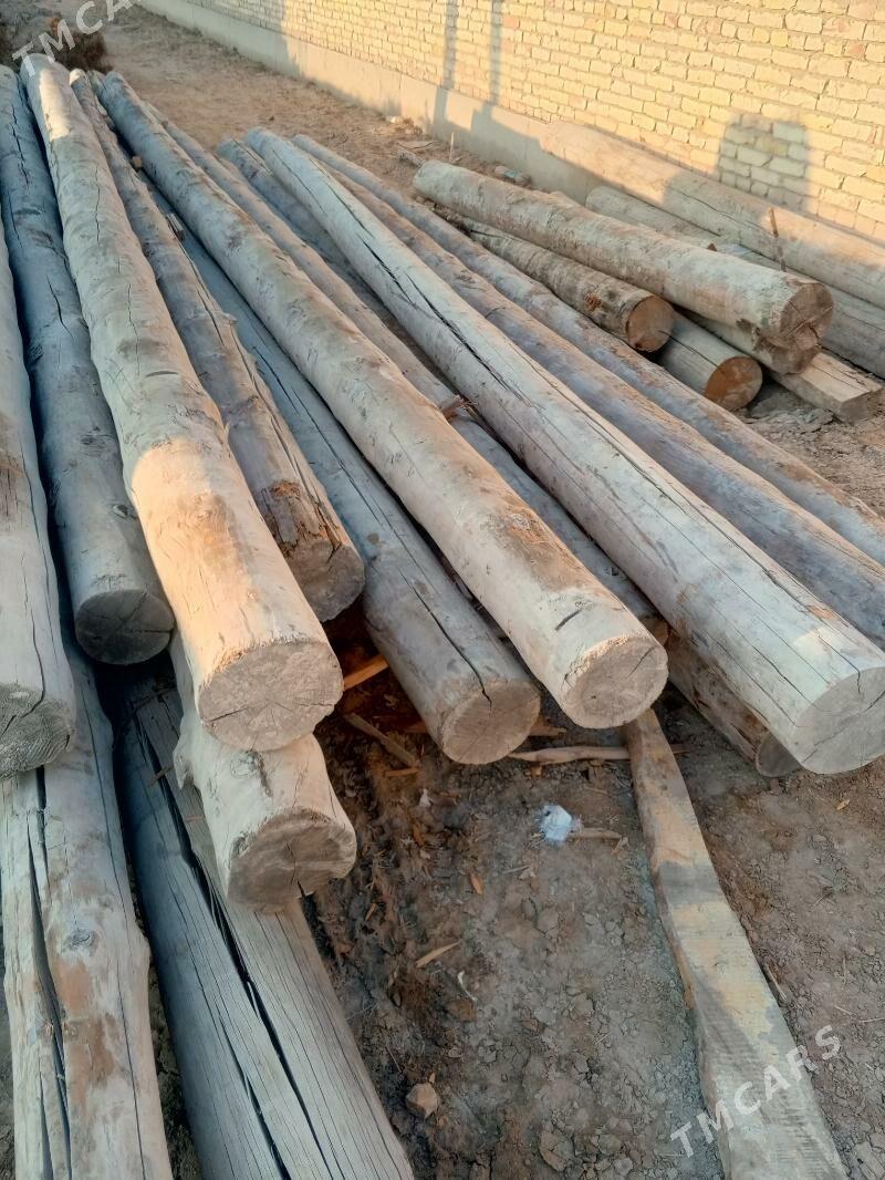 Agaç - Görogly (Tagta) - img 5