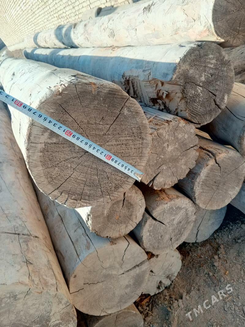 Agaç - Görogly (Tagta) - img 4