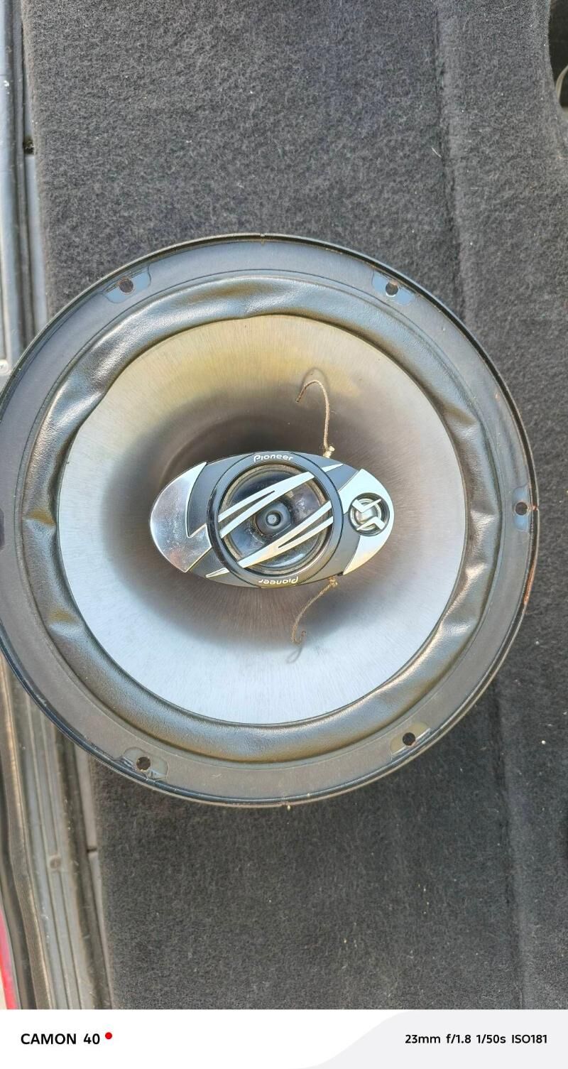 pioneer 1 000 TMT - Анев - img 4