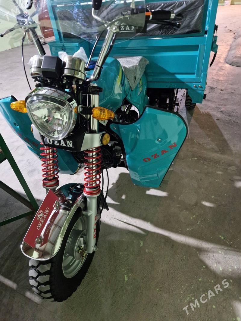 Ozan 200CC 2025 - 30 000 TMT - Кака - img 2