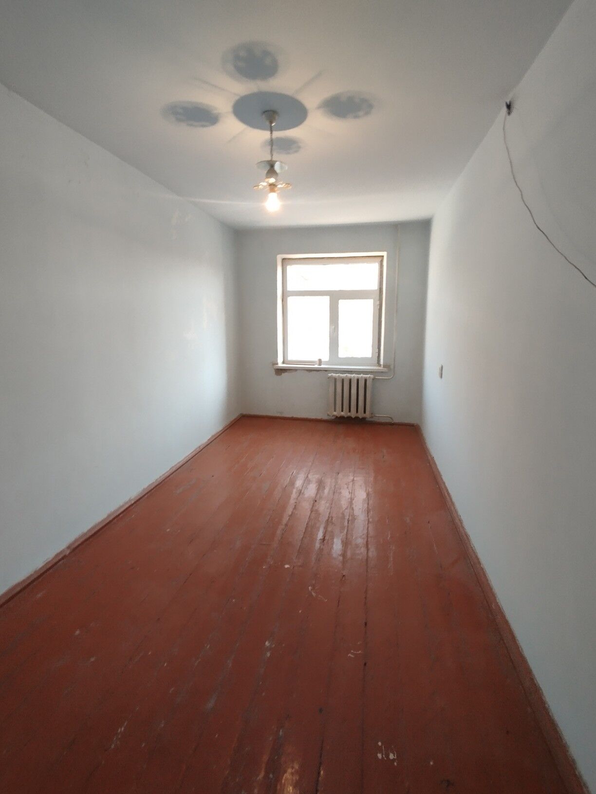 Satlyk jay - Mary - img 7