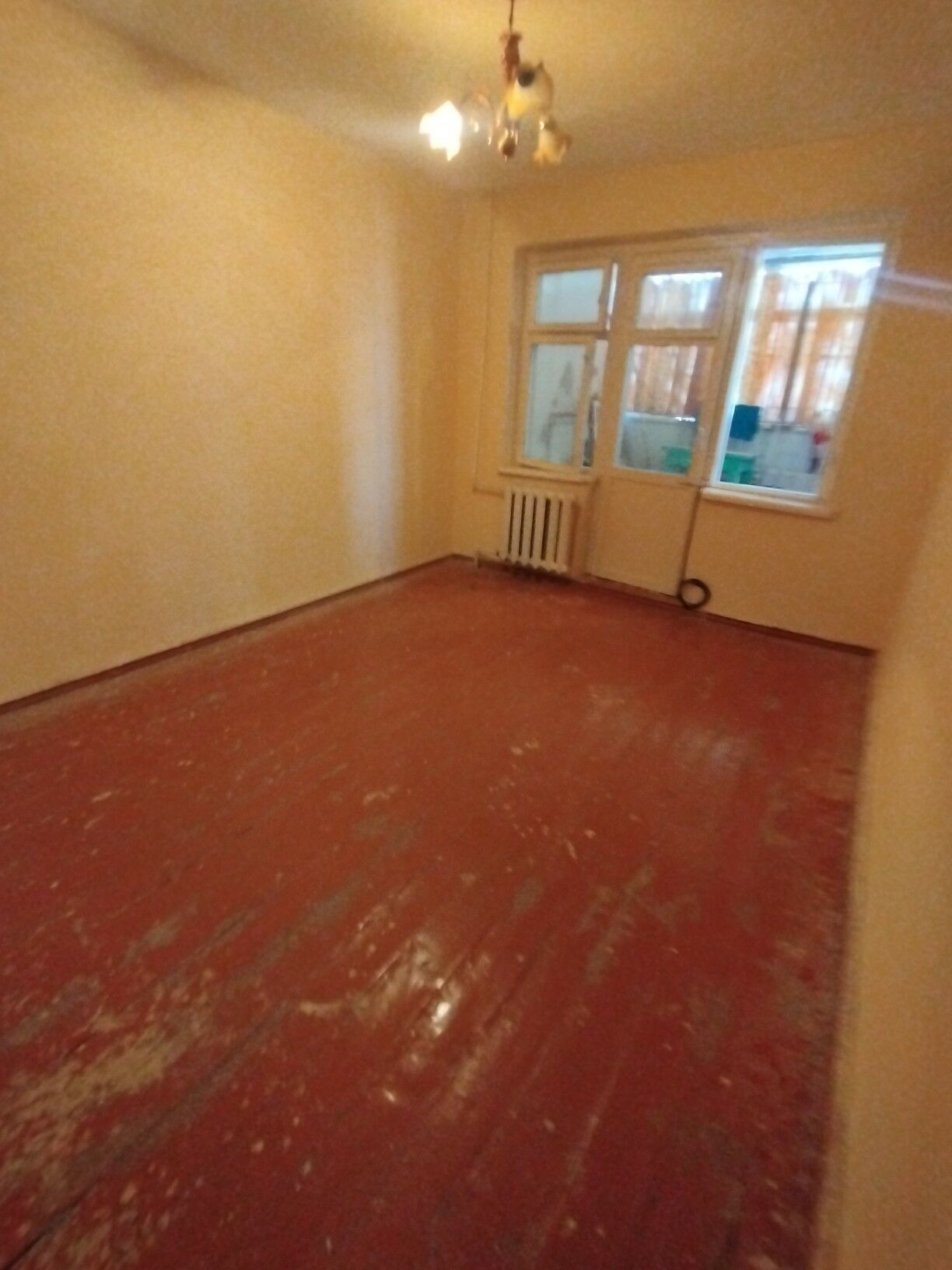 Satlyk jay - Mary - img 5