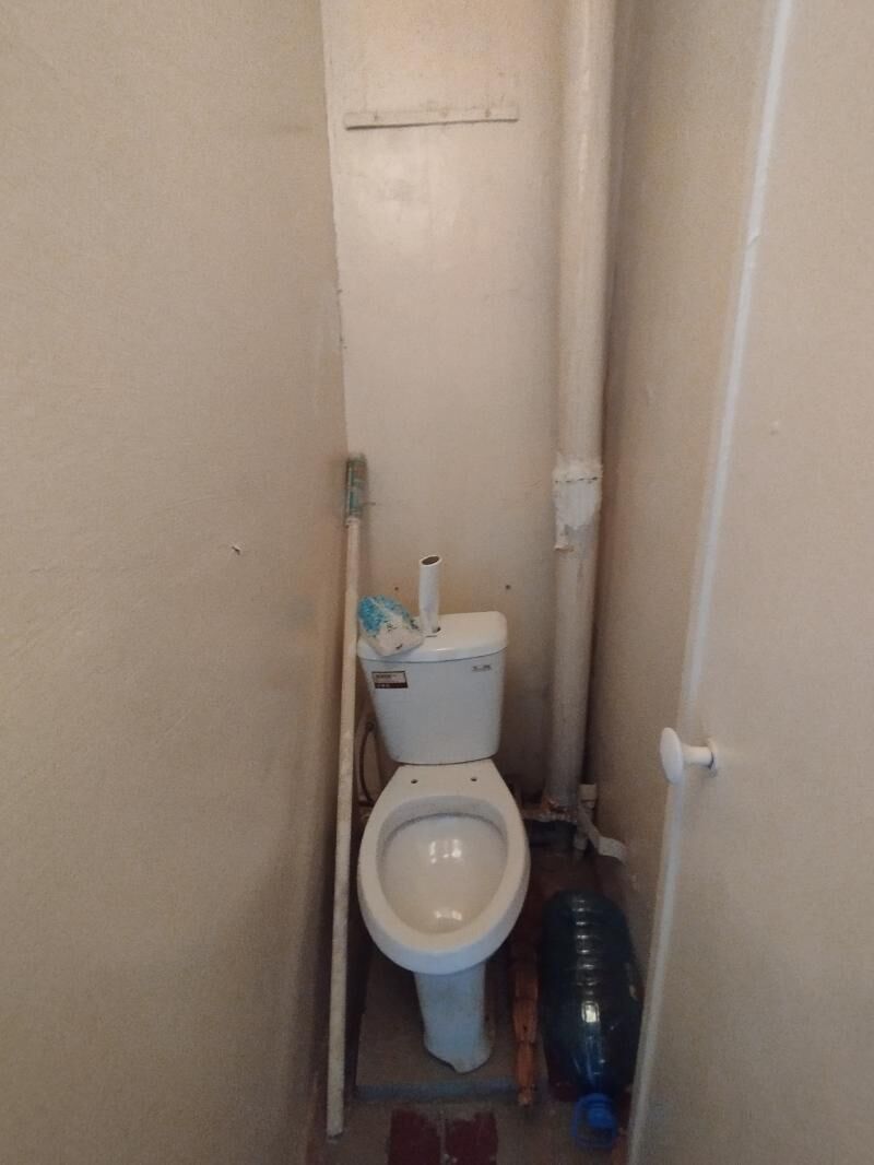 Satlyk jay - Mary - img 4