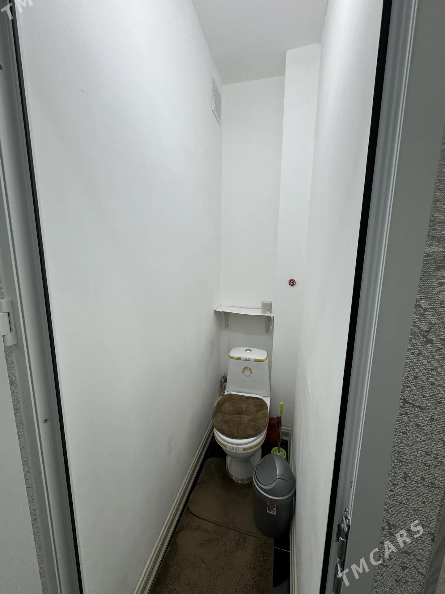 BUZMEYIN TOMATNYY 4KOM - Büzmeýin - img 8