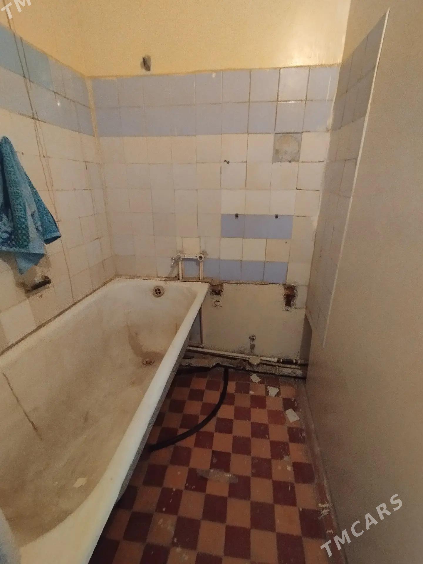 Satlyk jay - Mary - img 5