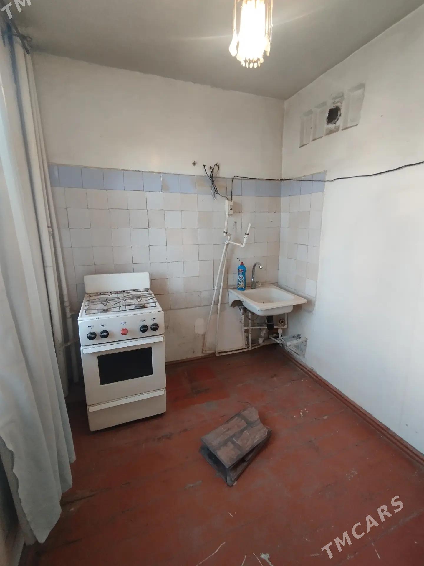 Satlyk jay - Mary - img 7