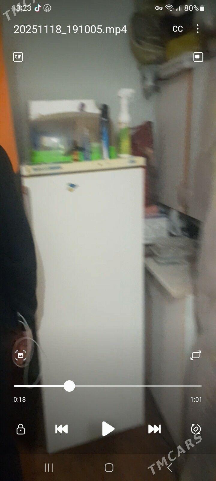 holodilnik orsunky - Мир 6 - img 2