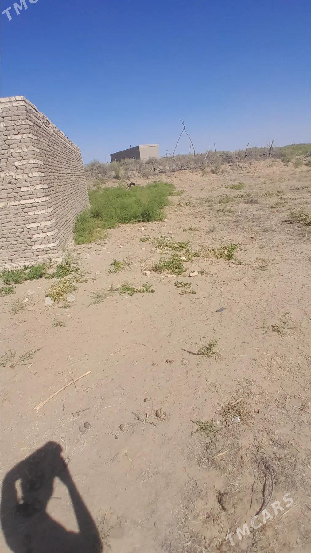 jayi - Мары - img 3