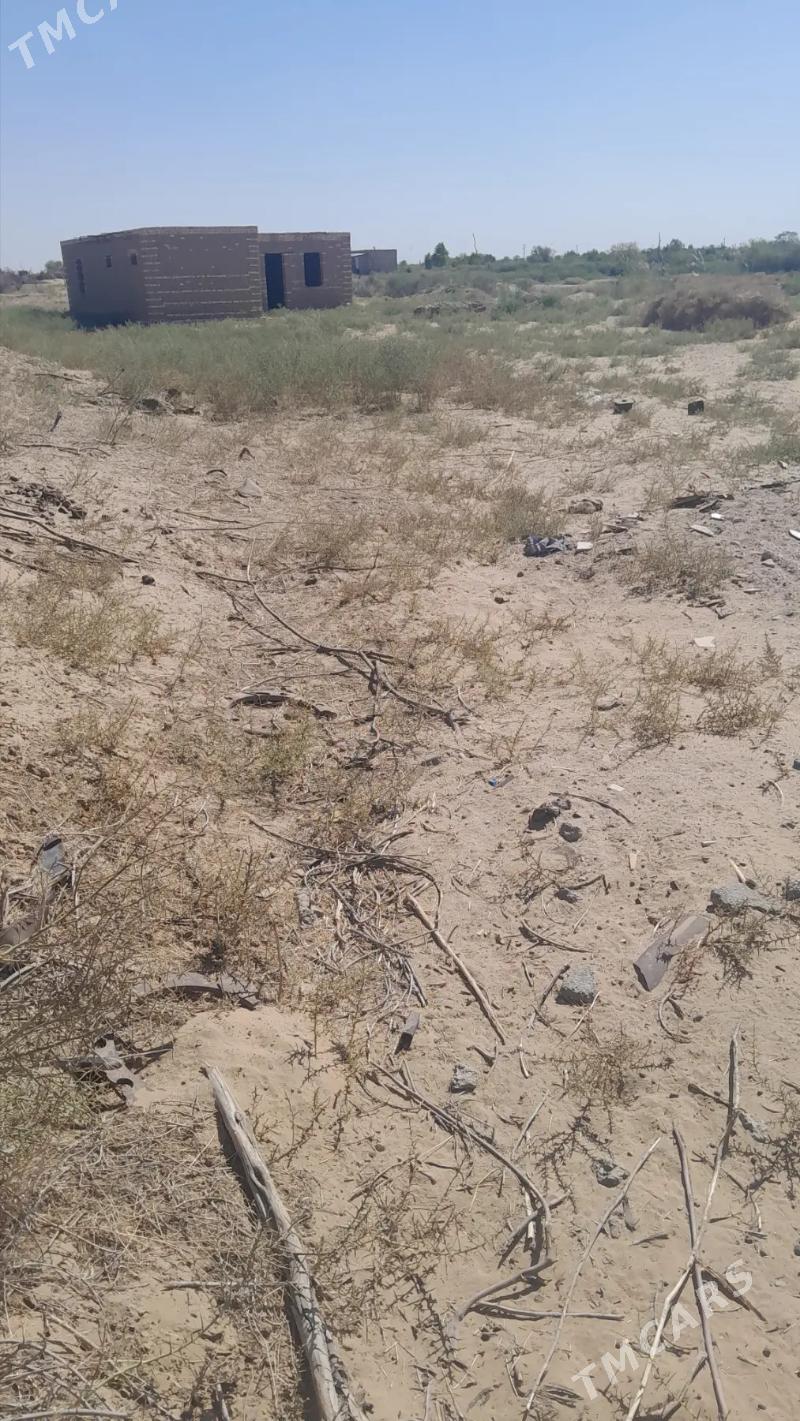 jayi - Мары - img 2