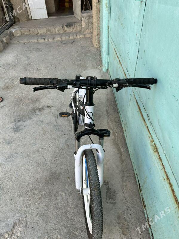 WELİK - Türkmenbaşy - img 5