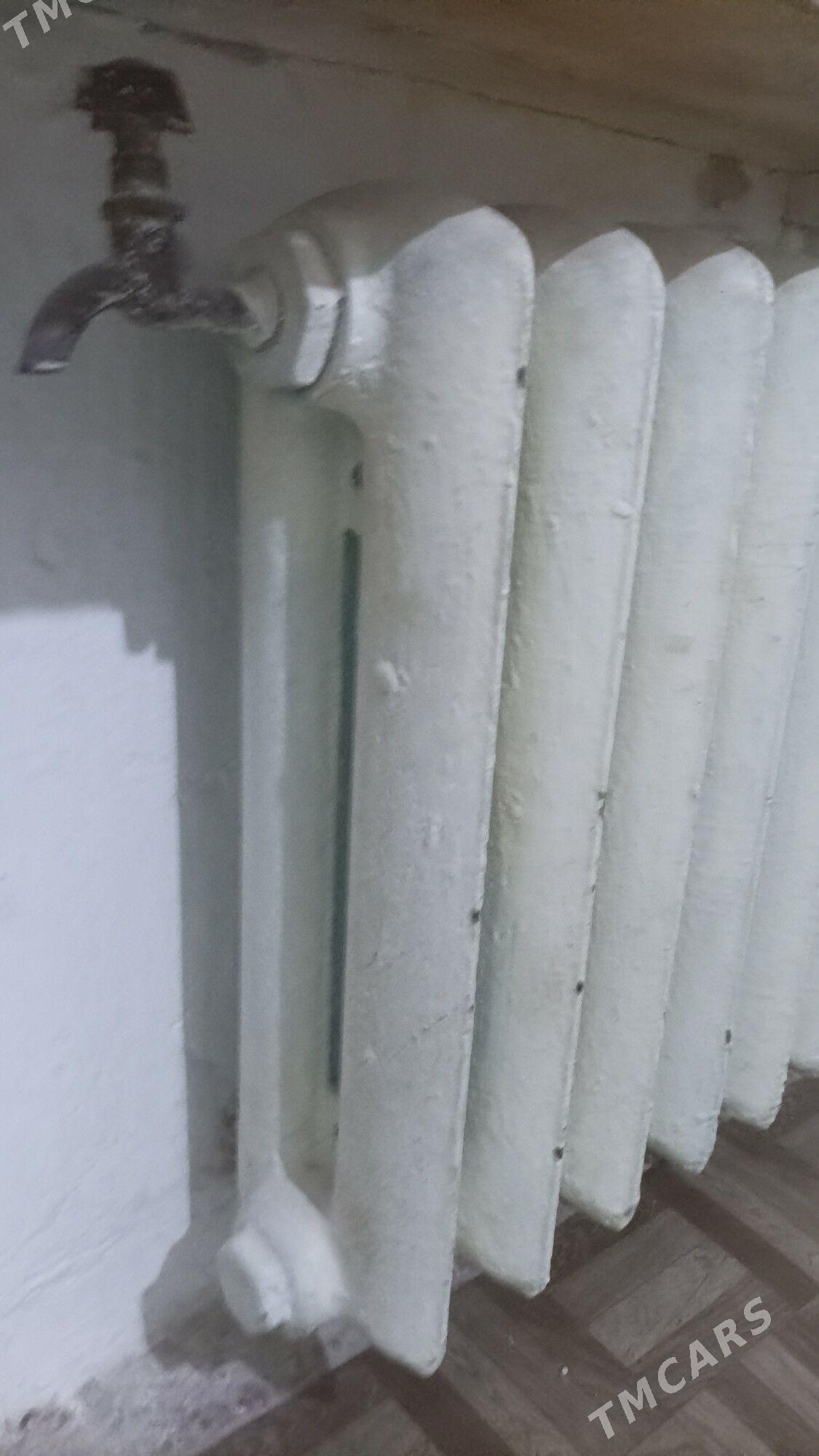 ataplenya galyn - Türkmenbaşy - img 2