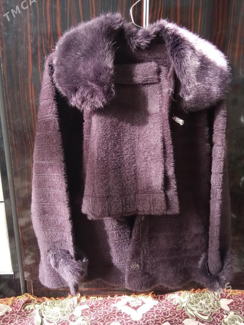 şuba iki hili bolýan - Wekilbazar - img 1