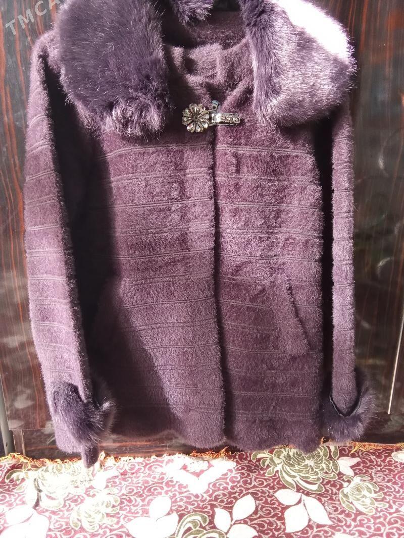 şuba iki hili bolýan - Wekilbazar - img 2