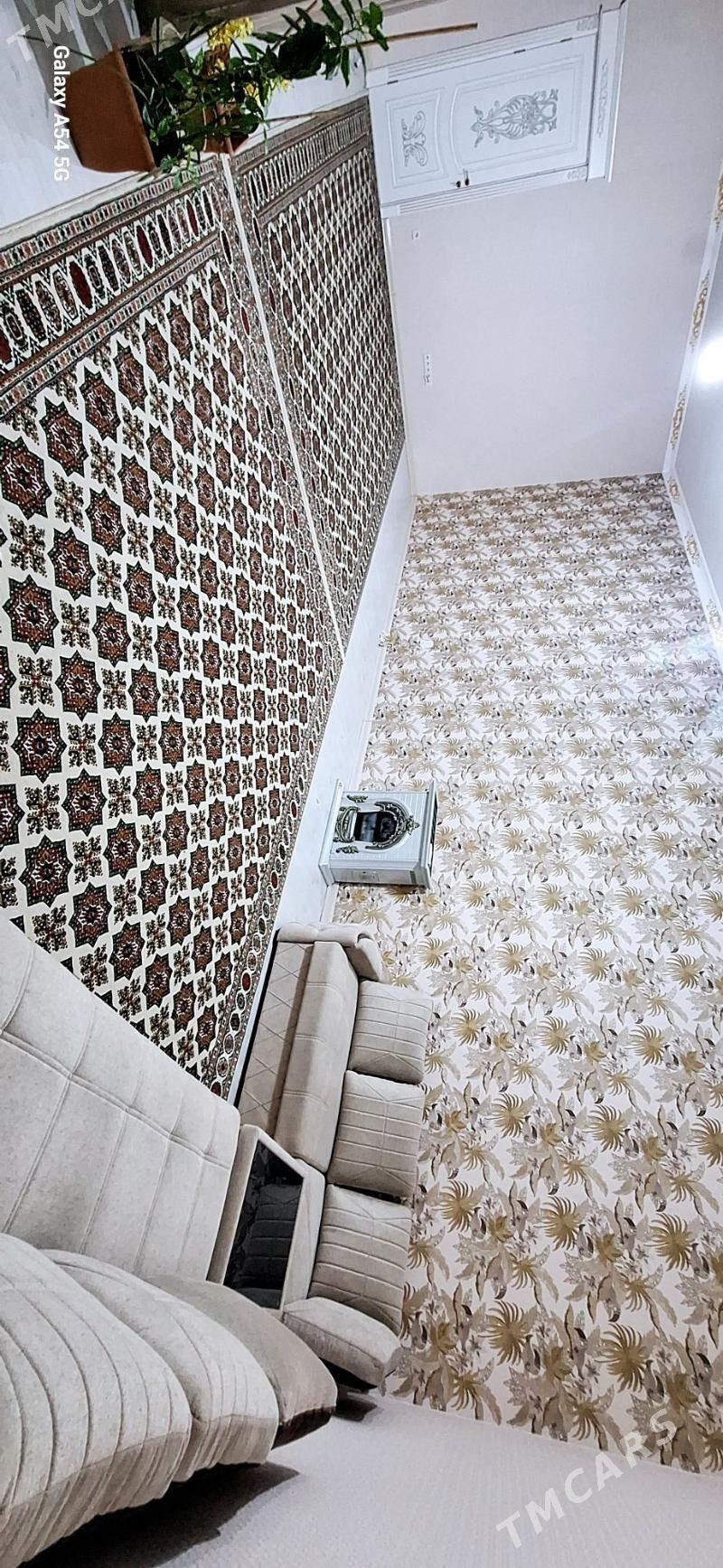 Anew full plan jay - Änew - img 4