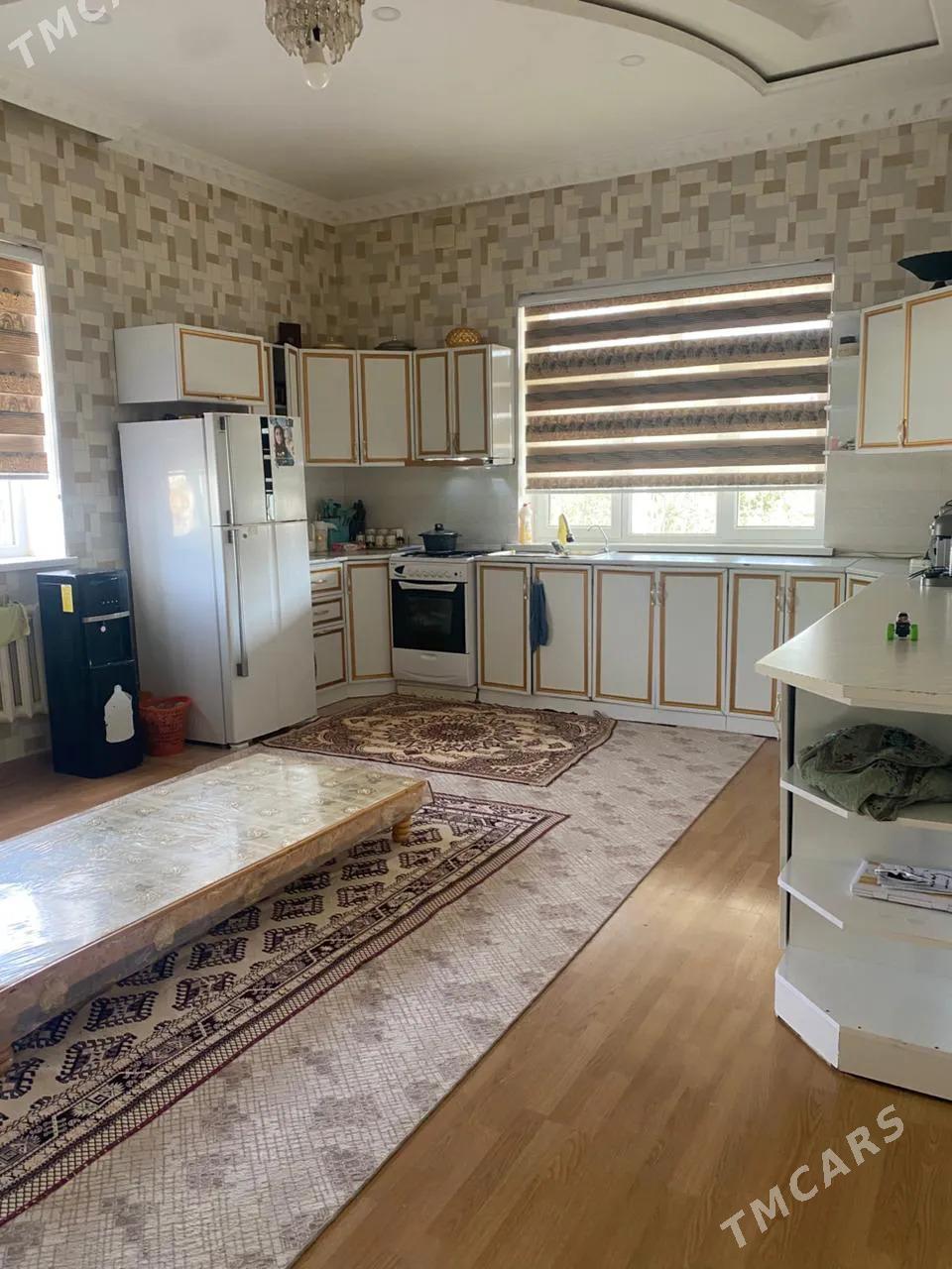 ARENDA KATEZ ANEW MAGTYMGULY - Анев - img 8