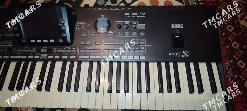 Korg pa3x ulusy - Койтендаг - img 5