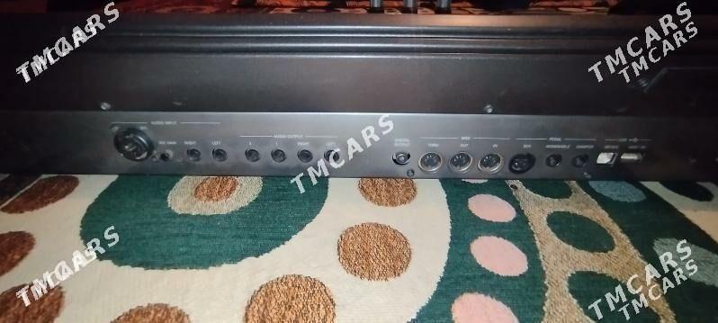 Korg pa3x ulusy - Койтендаг - img 4