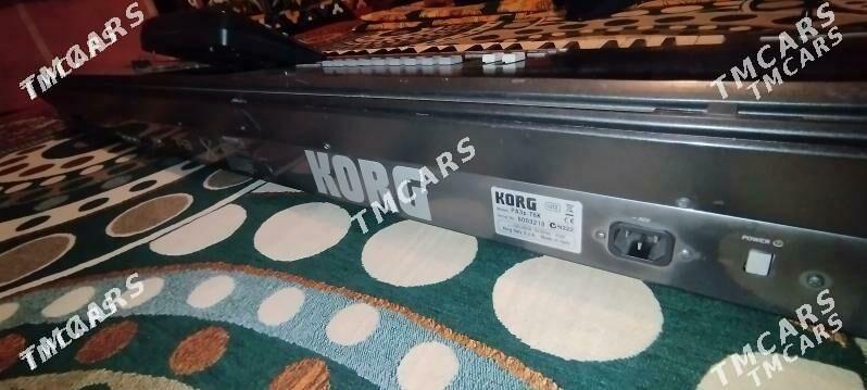 Korg pa3x ulusy - Койтендаг - img 3