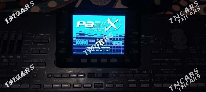 Korg pa3x ulusy - Койтендаг - img 2