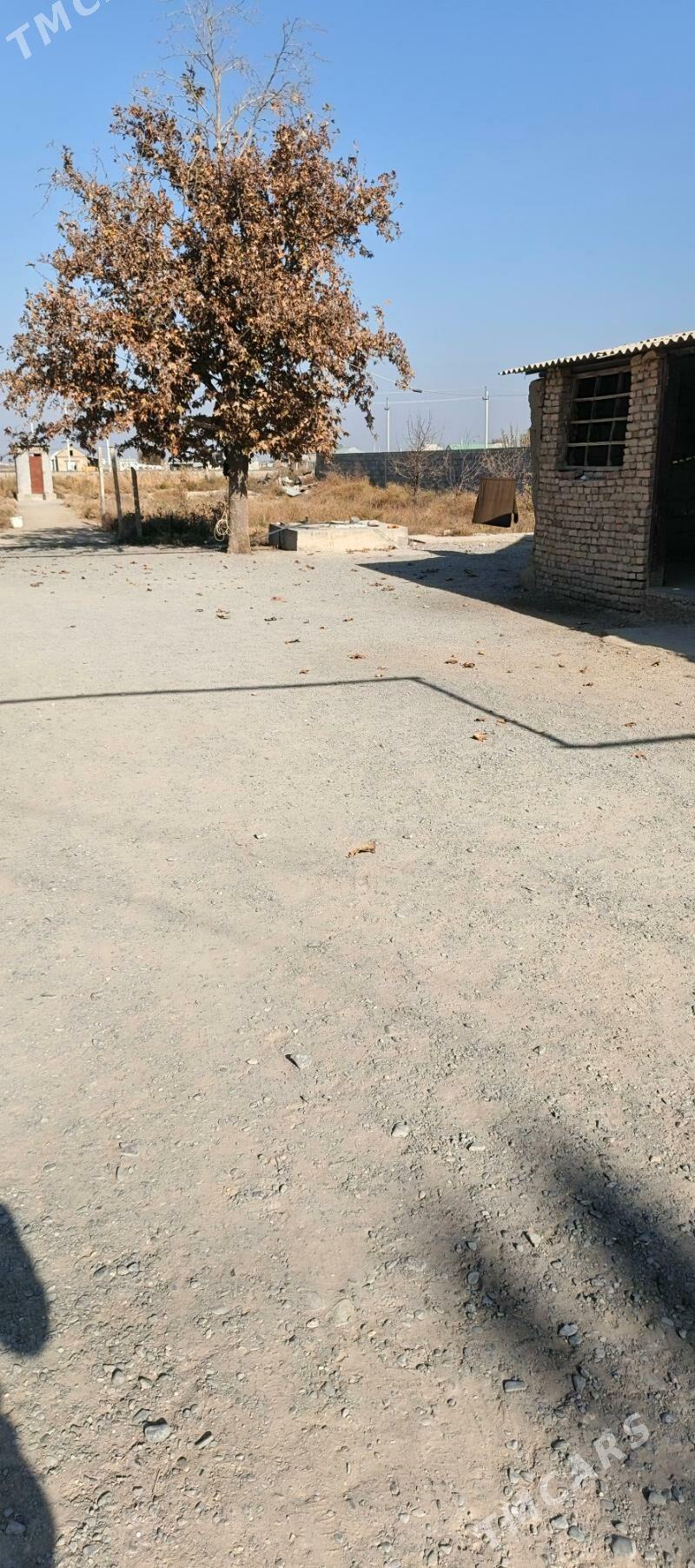 mellek yer - Гёкдепе - img 4