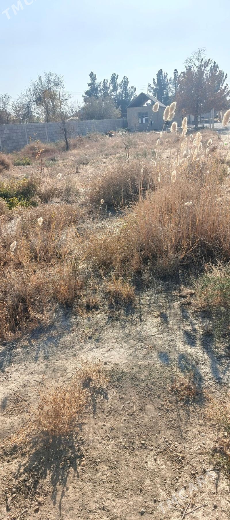 mellek yer - Гёкдепе - img 3