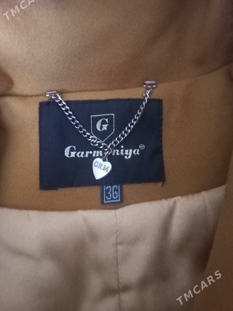 palto - Daşoguz - img 2