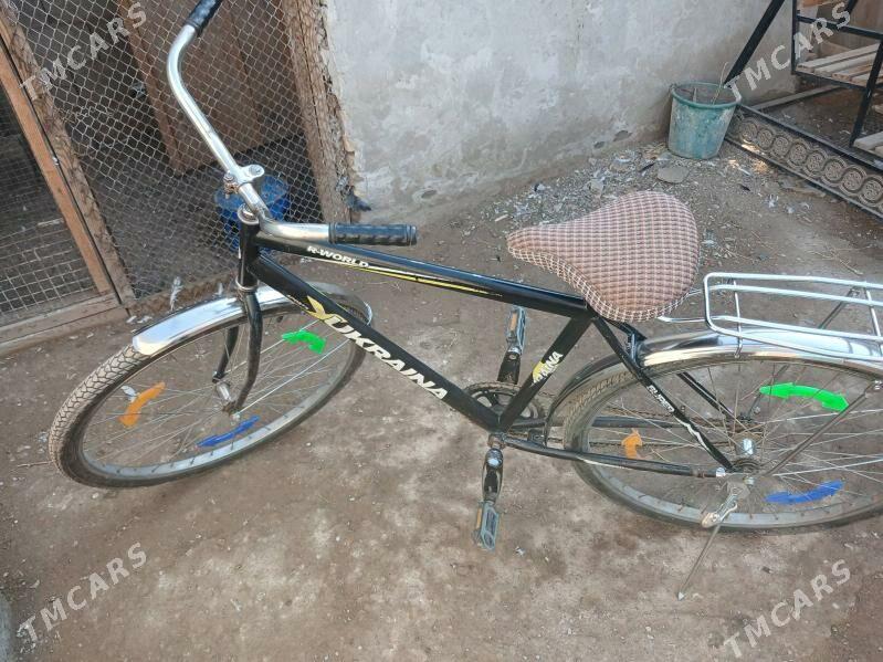 tigir - Daşoguz - img 3