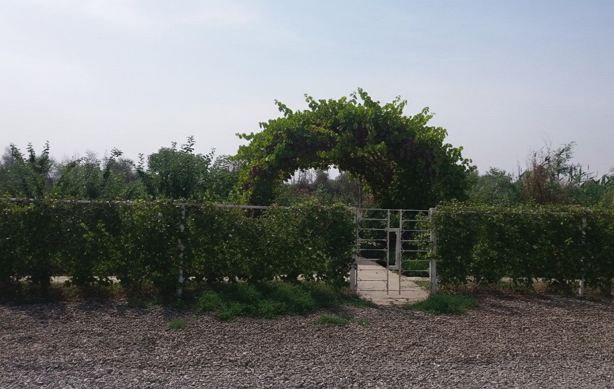 Продается Дача ГРЭС - Mary - img 6