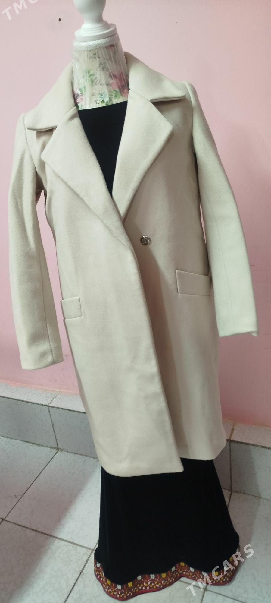 palto - Daşoguz - img 3