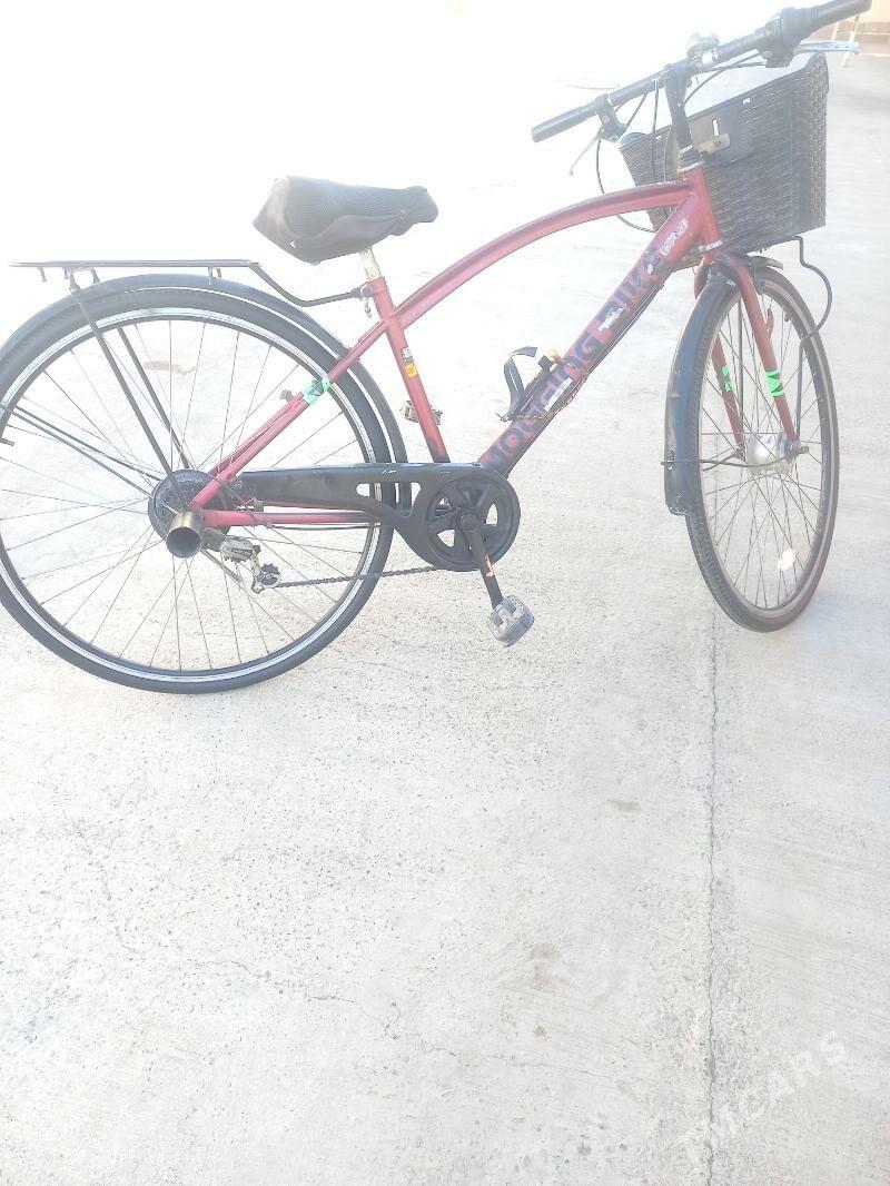 tigir - Бузмеин - img 4