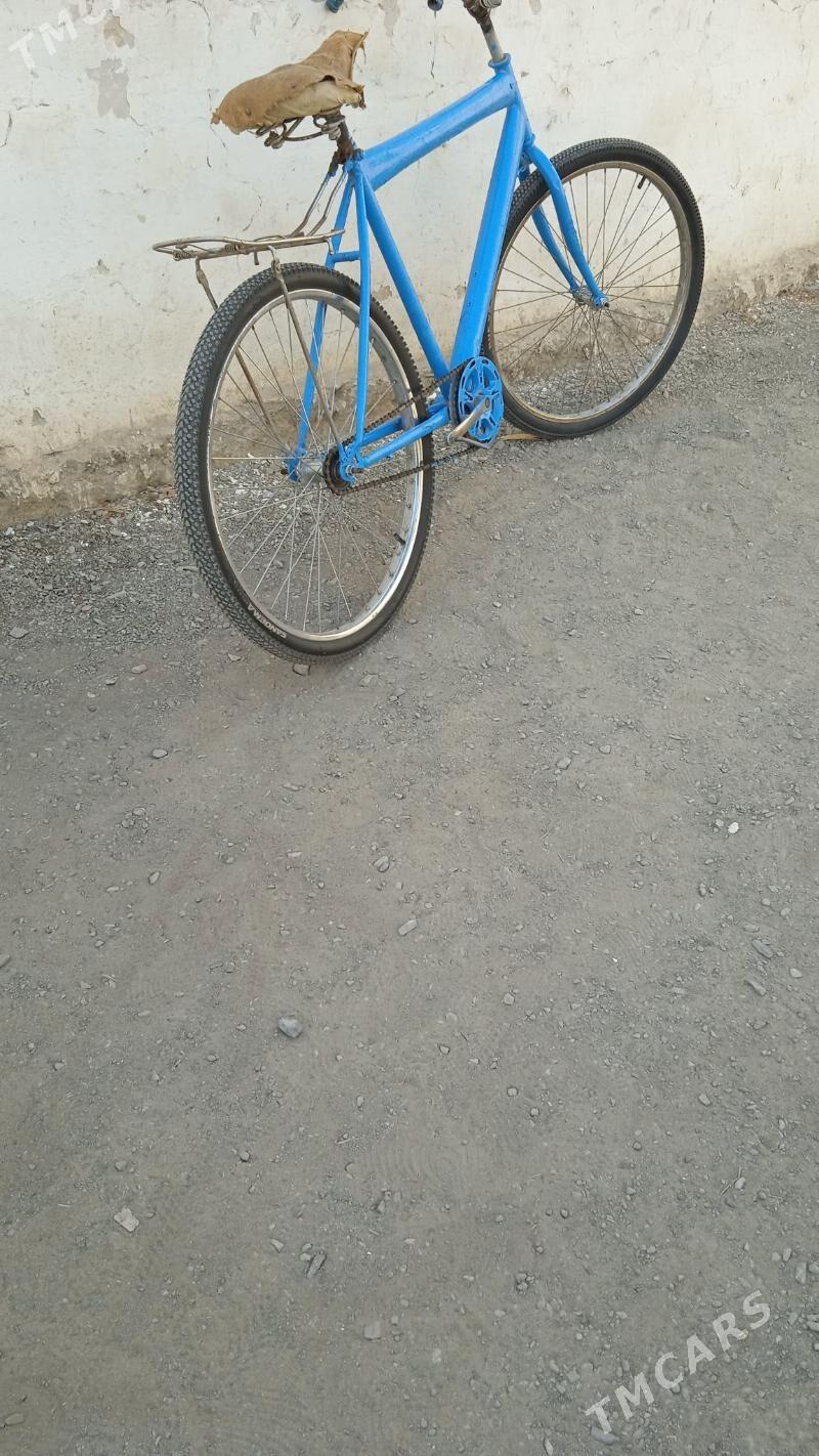 Tigir - Бахарден - img 1