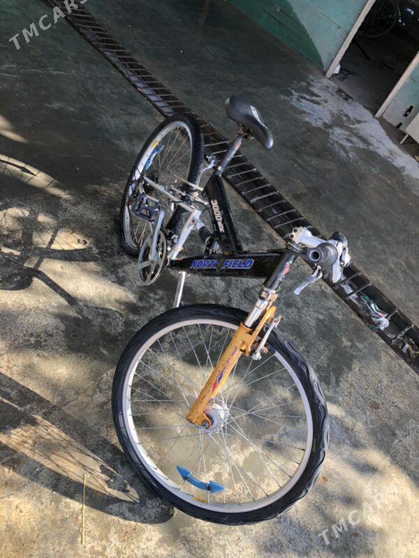 amersatr - Каракумский этрап - img 2