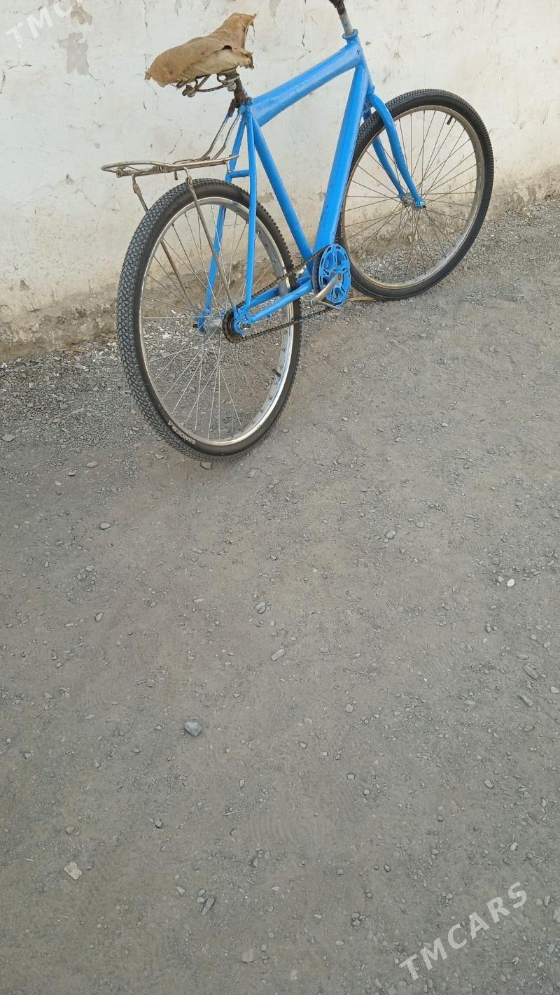 Tigir - Бахарден - img 2