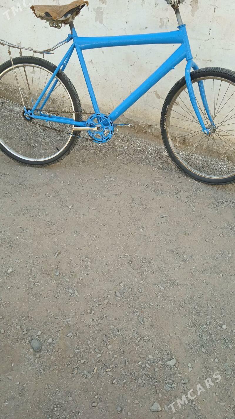 Tigir - Бахарден - img 3