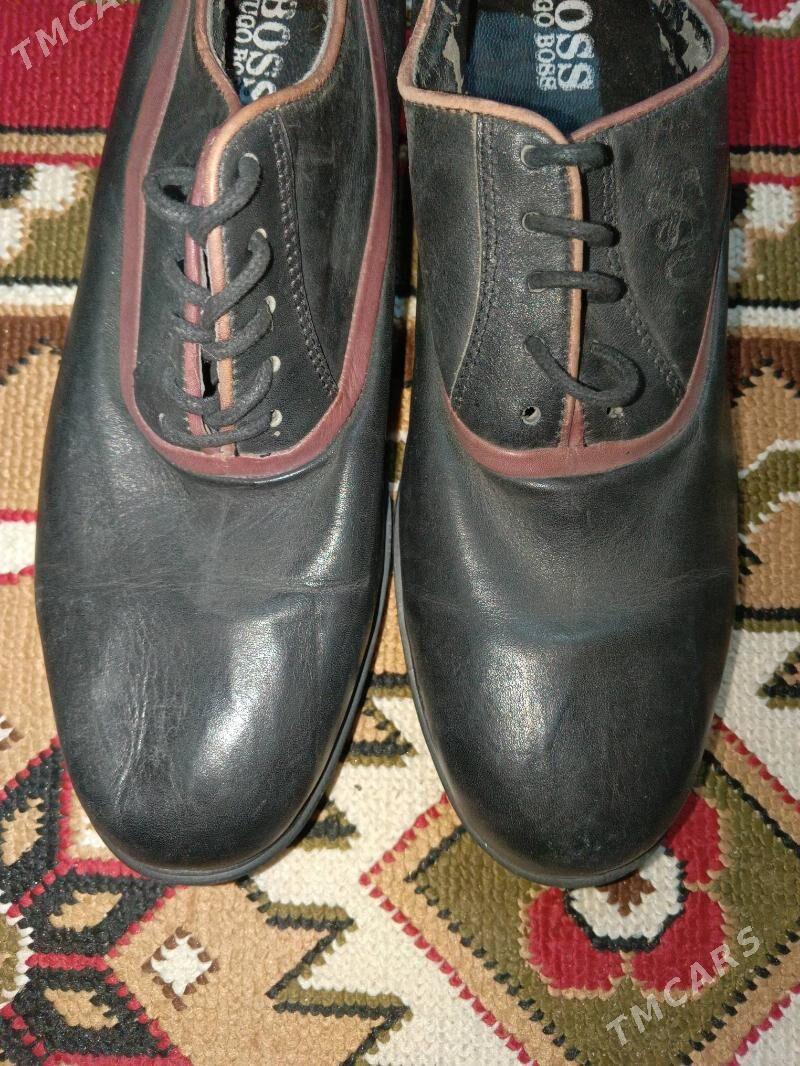 kowus - Gökje - img 3