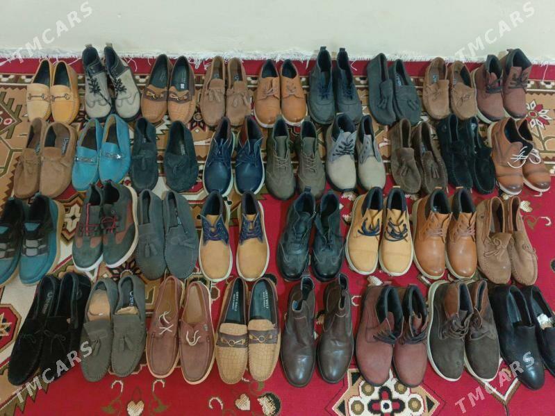 kowus - Gökje - img 2