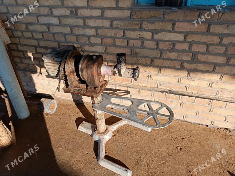 et uweyan masyn - Сакарчага - img 4