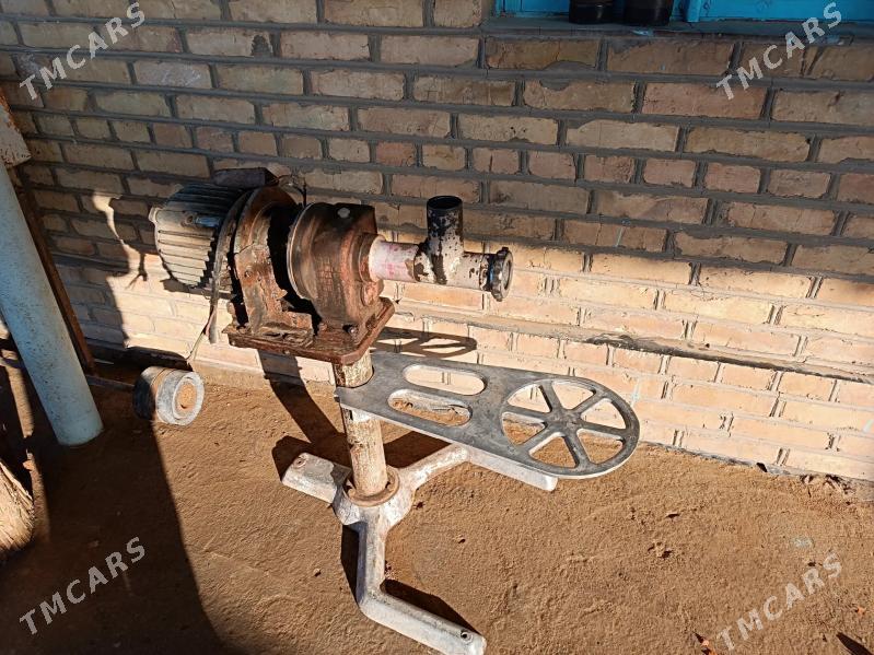 et uweyan masyn - Сакарчага - img 3