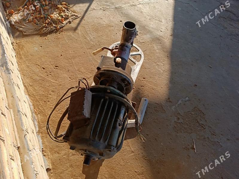 et uweyan masyn - Сакарчага - img 2