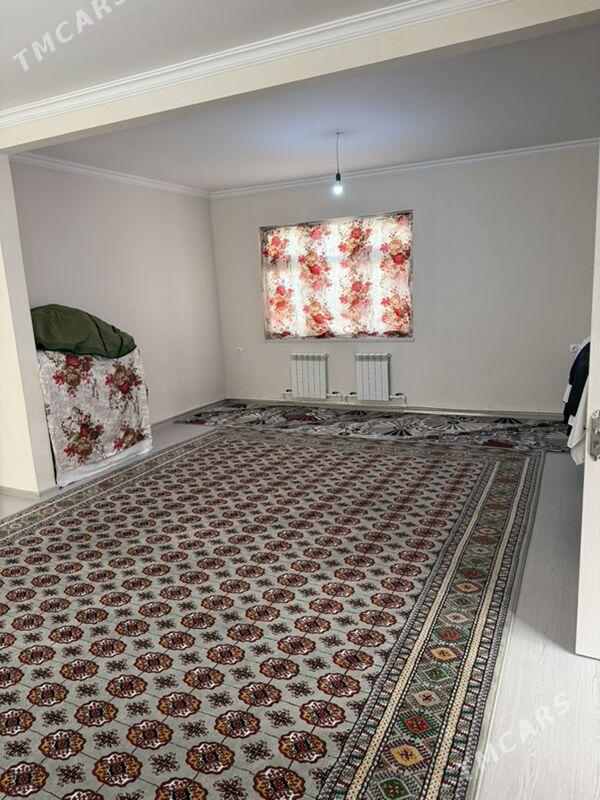 Cogonly kotej - Чоганлы - img 9