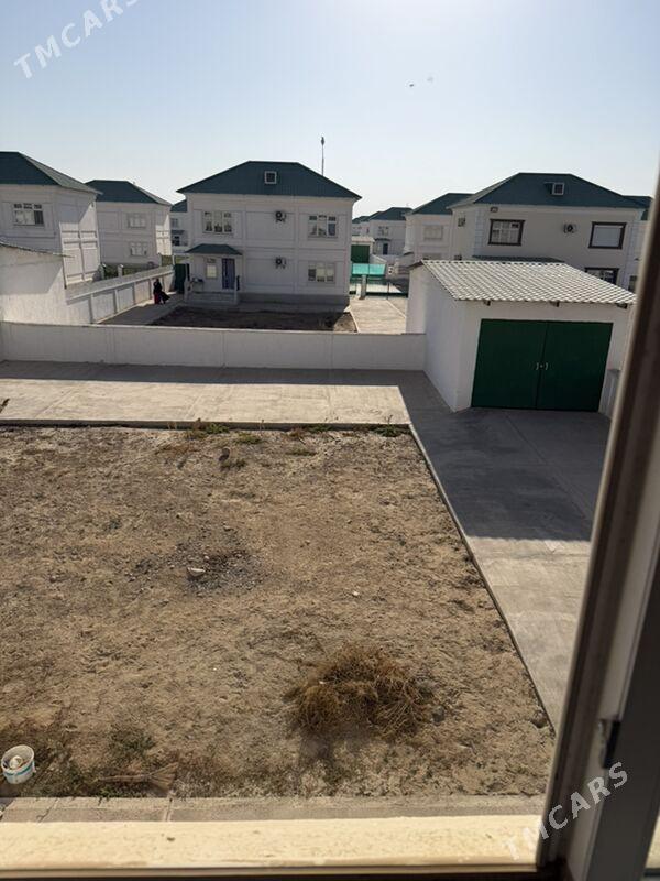 Cogonly kotej - Чоганлы - img 2