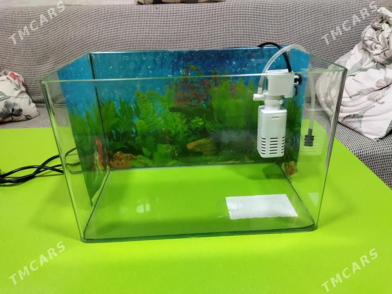 Аквариум 10 литров. - 30 мкр - img 3