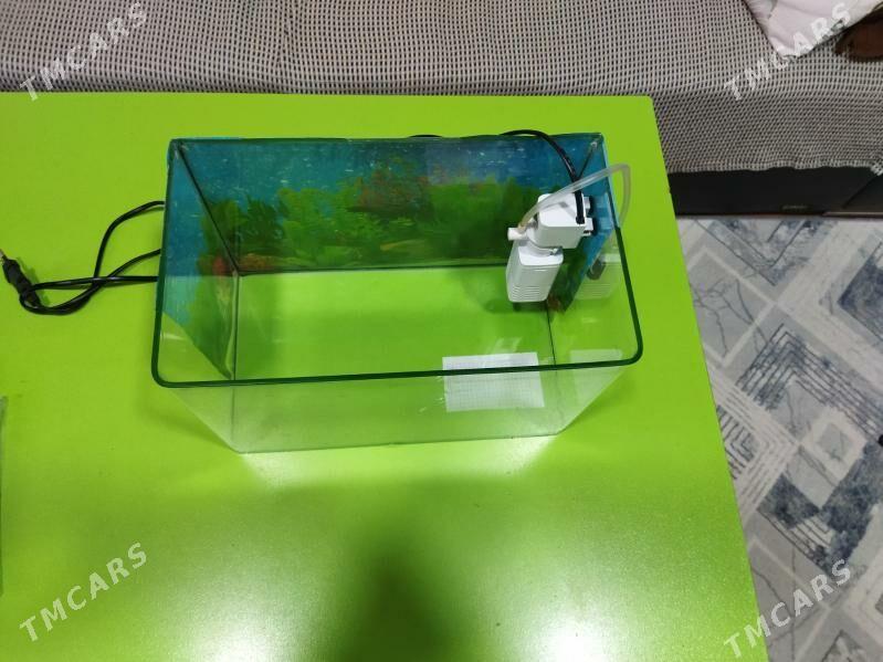 Аквариум 10 литров. - 30 мкр - img 5