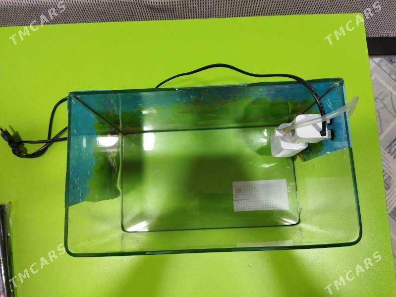 Аквариум 10 литров. - 30 мкр - img 4