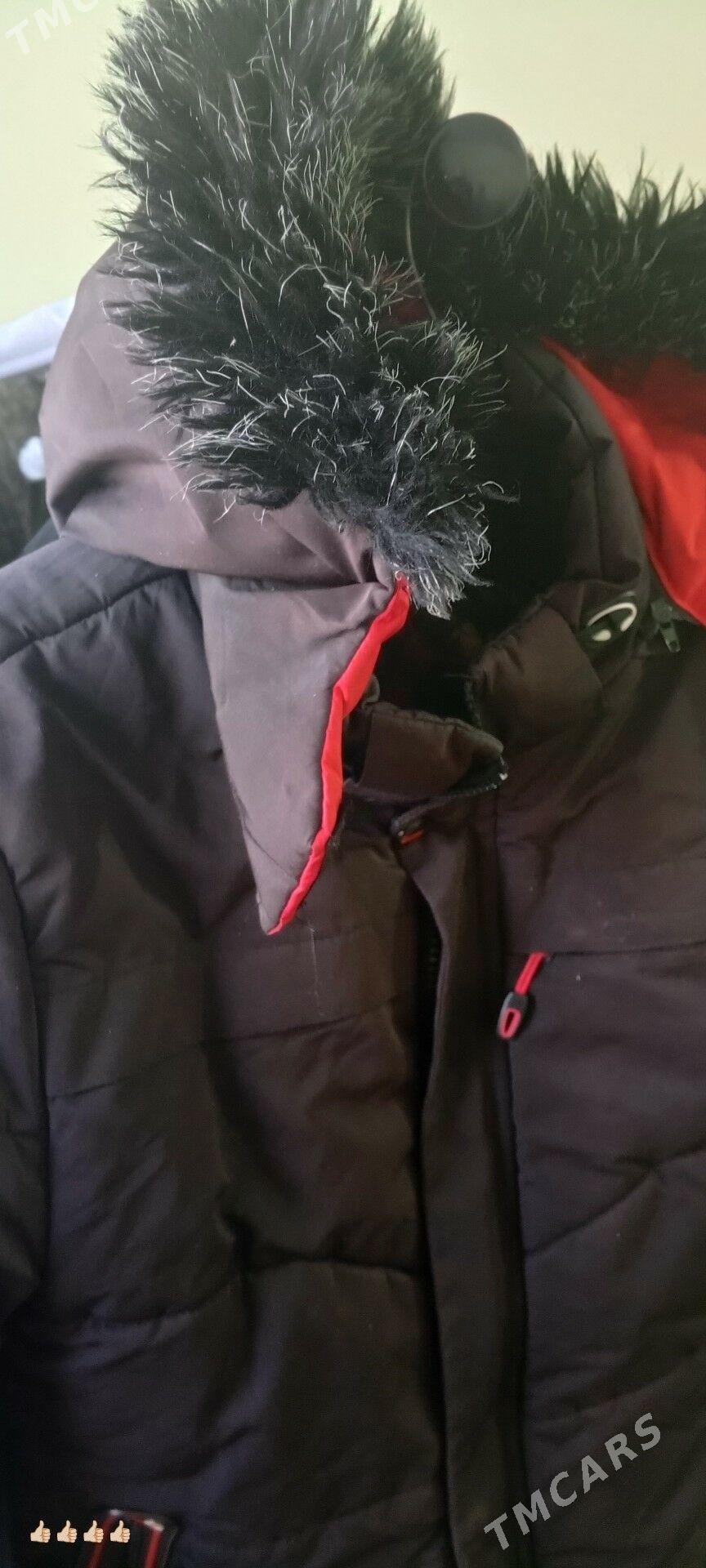 çaga kurtgalary - Теджен - img 2