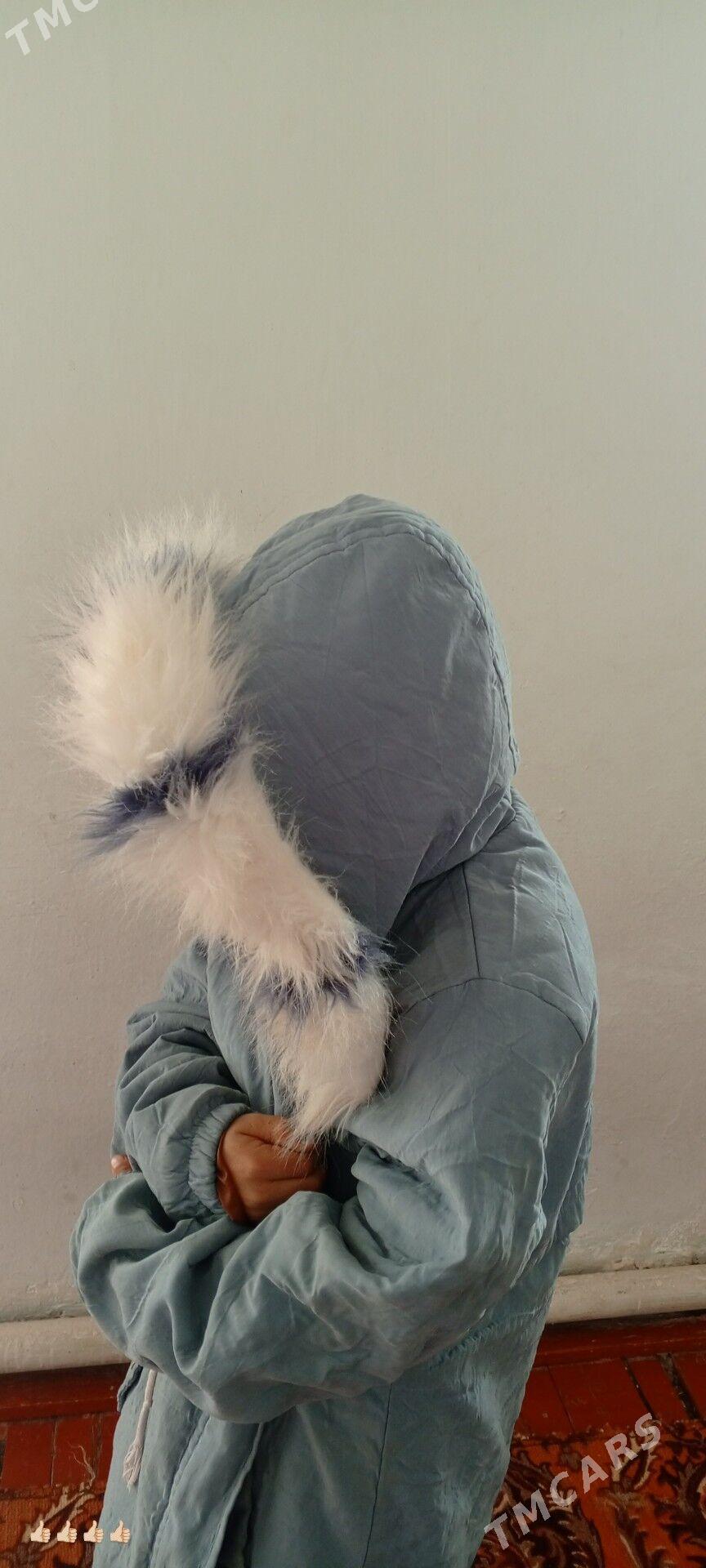 çaga kurtgalary - Теджен - img 3